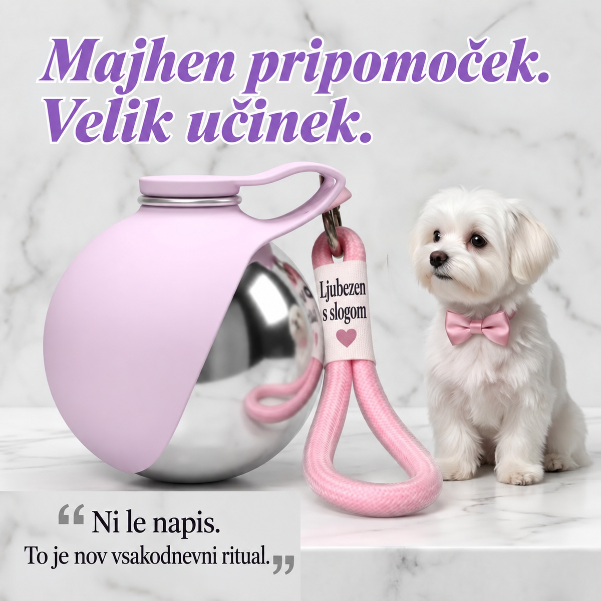 Potovalna steklenička za pse z zložljivo posodico — 2